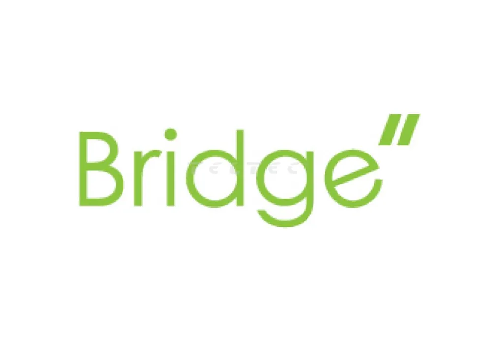 Mega-Angebot Digital Forecast BRIDGE_M_Bracket