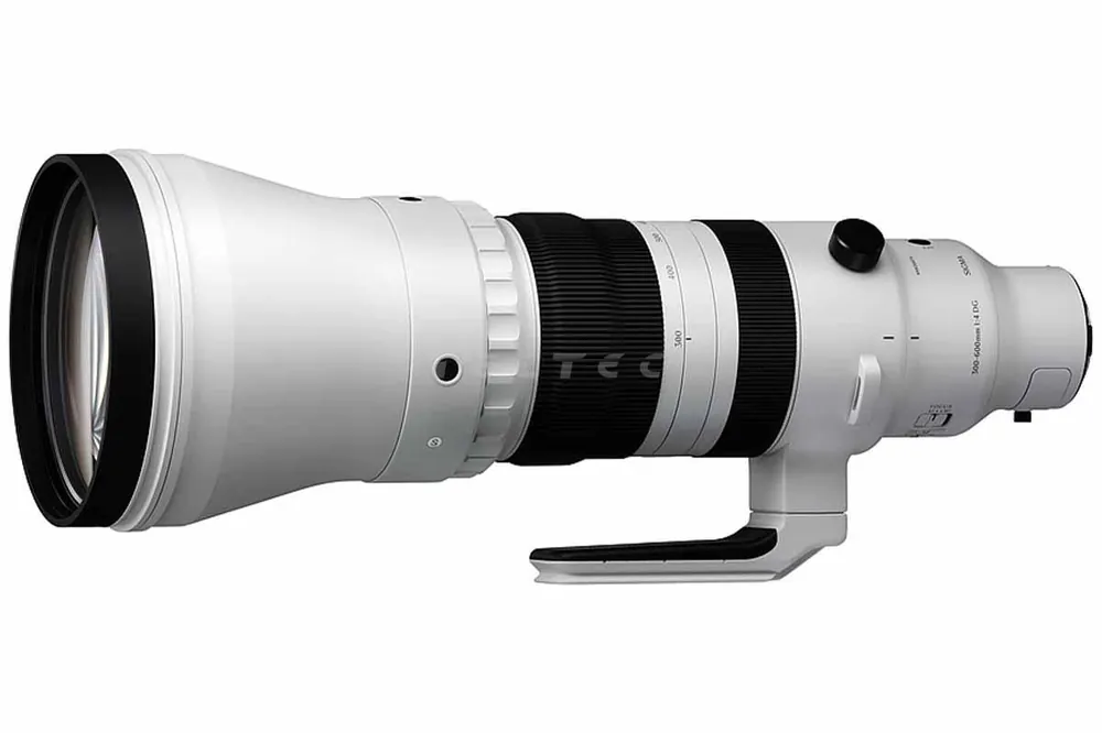 Sigma 300-600mm F4 DG OS | Sports - E-Mount Gratis Versand
