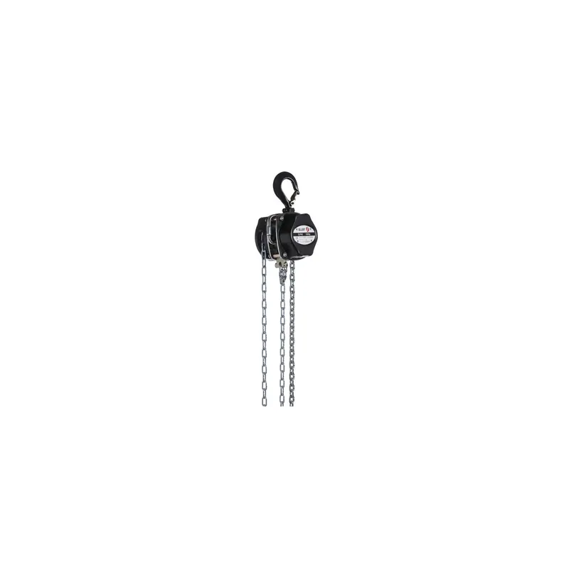 Eller - Chainhoist 1000kg manual Hubhöhe 12 m Beliebt