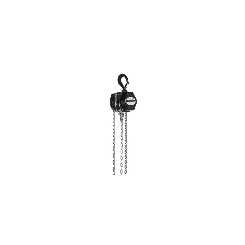 Eller - Chainhoist 250kg manual Hubhöhe 12 m Meistverkauft
