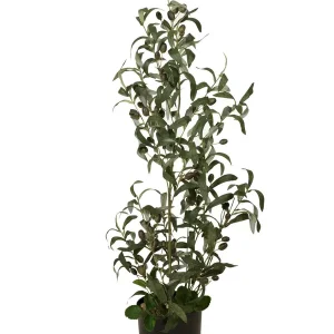 EUROPALMS Olivenbäumchen, Kunstpflanze, 90 cm Neu