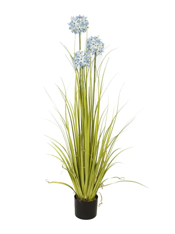 Preisreduziert EUROPALMS Alliumgras, Kunstpflanze, blau, 120 cm