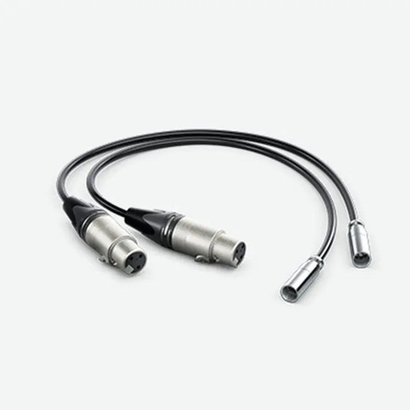 Blackmagic Design MiniXLR-Adapterkabel (2er Set) Top-Angebot