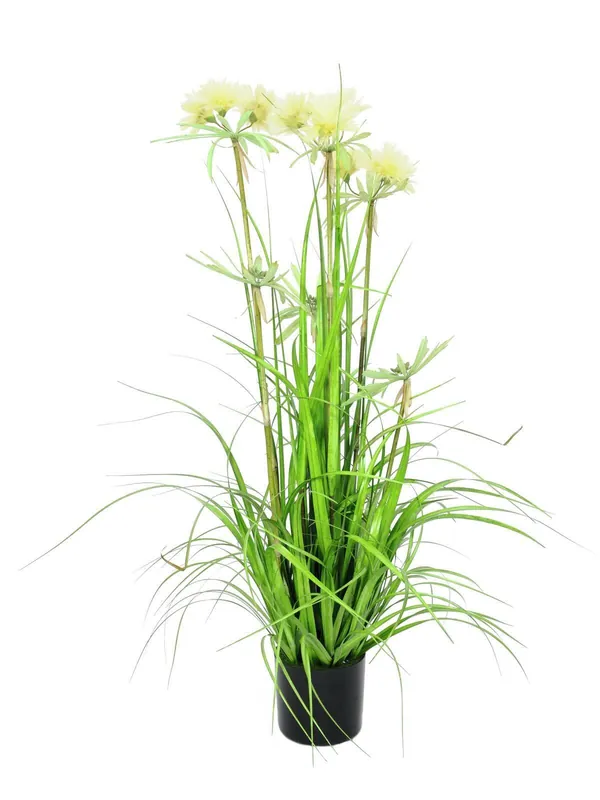 Bestseller Europalms Sterngras, 120cm - Kunstpflanze