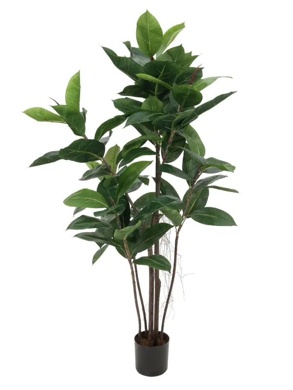 Aktuell Europalms Gummibaum, 120cm - Kunstpflanze