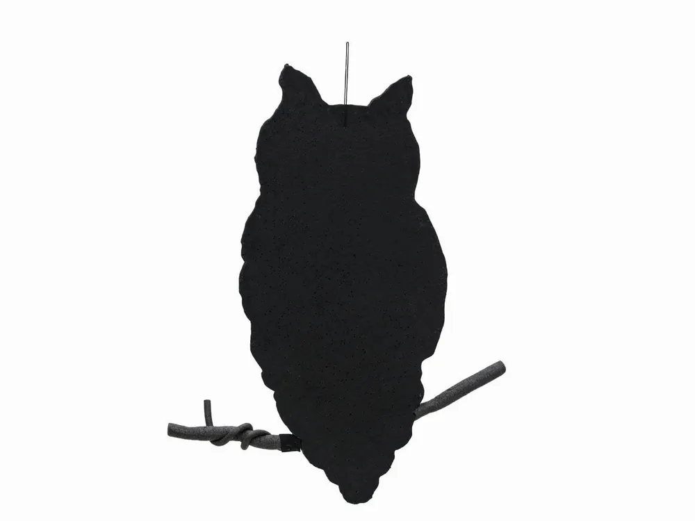 Kostenfreie Lieferung EUROPALMS Silhouette Eule, 62cm