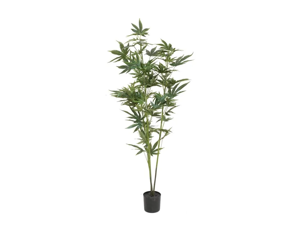 EUROPALMS Hanfpflanze, Kunstpflanze, 120cm Begrenztes Angebot