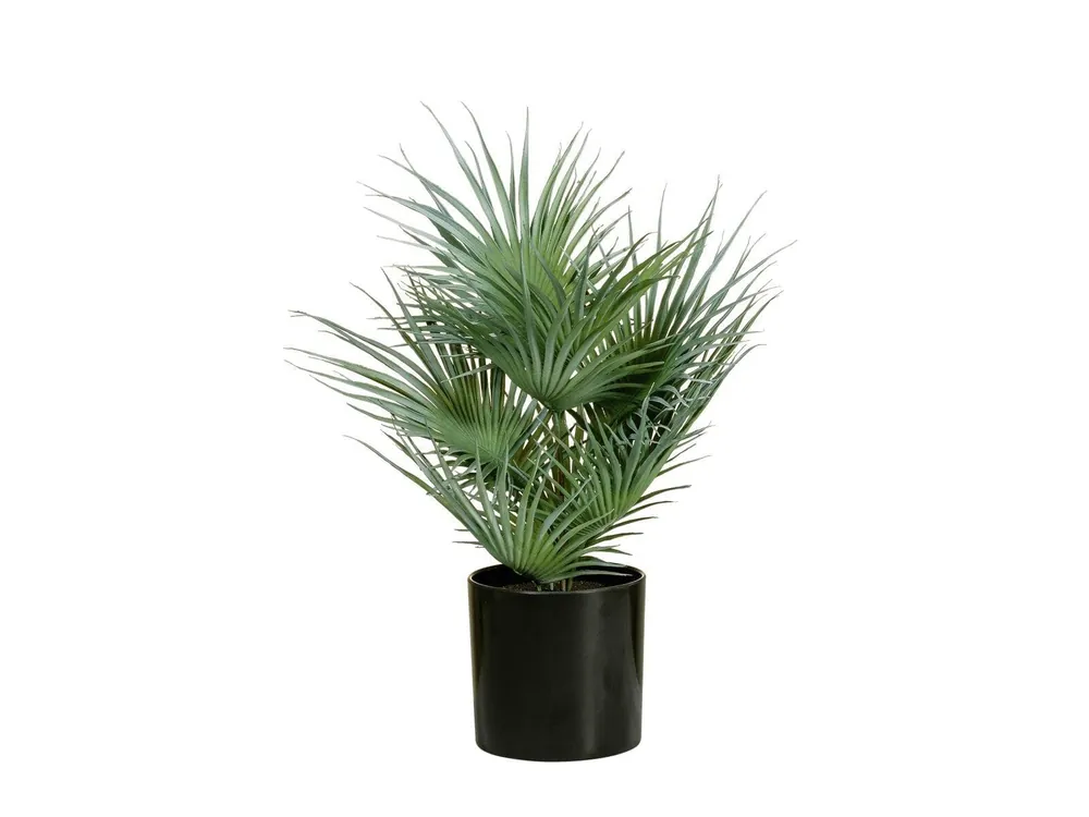 EUROPALMS Fächerpalme, Kunstpflanze, 55cm Must-Have