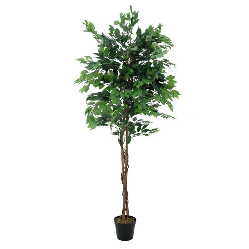Mega-Angebot EUROPALMS Ficus-Benjamini Multi-Stamm, Kunstpflanze, 210cm