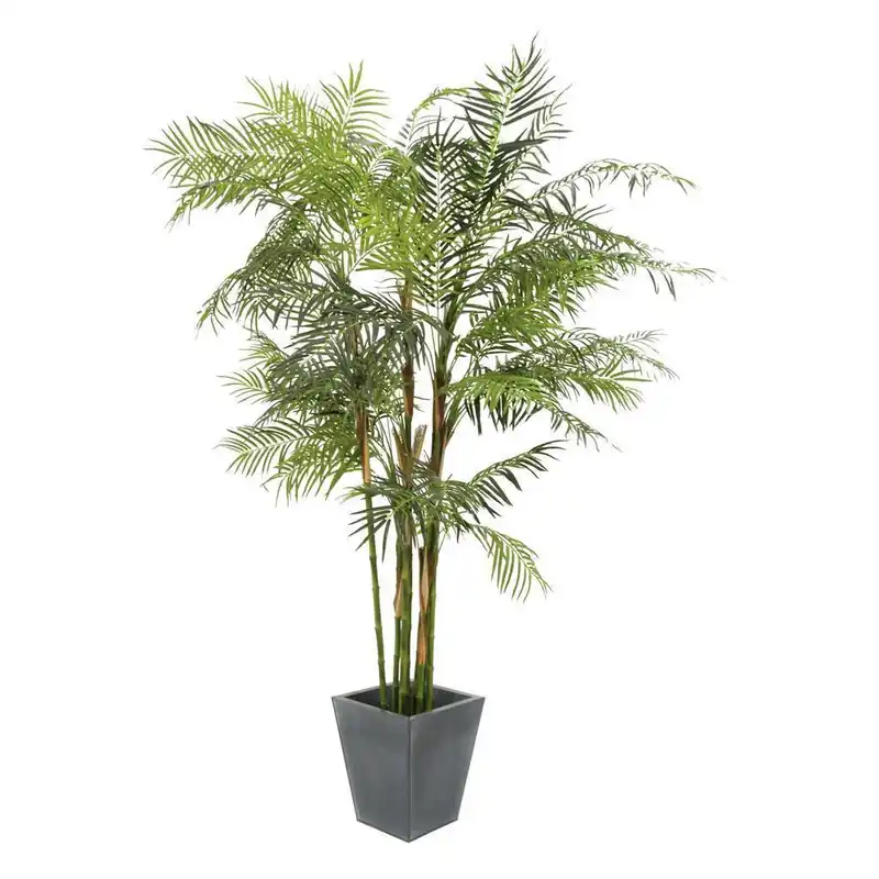 Wochenendangebot EUROPALMS Cycasrohr Palme, Kunstpflanze, 280cm