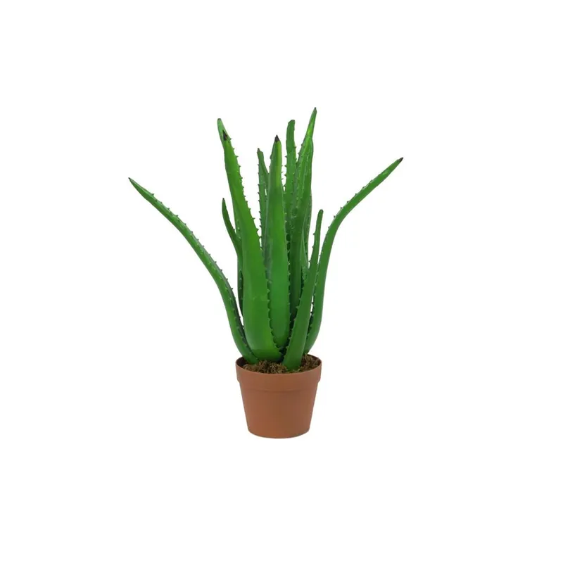 Günstig EUROPALMS Aloe-Vera-Pflanze, Kunstpflanze, 63cm